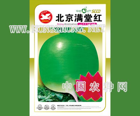 北京满堂红